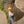 A rock climber on a rope climbing up a rock face at Frogatt Edge in Derbyshire