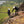 A climbing instructor explaining a saftey harness rig to a beginner climber as they begin abseiling of a rock ledge at Bamford Edge in the Peak District.