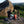 A climbing instructor places a bouldering crash pad below a boulder at stanage plantation in the peak district.